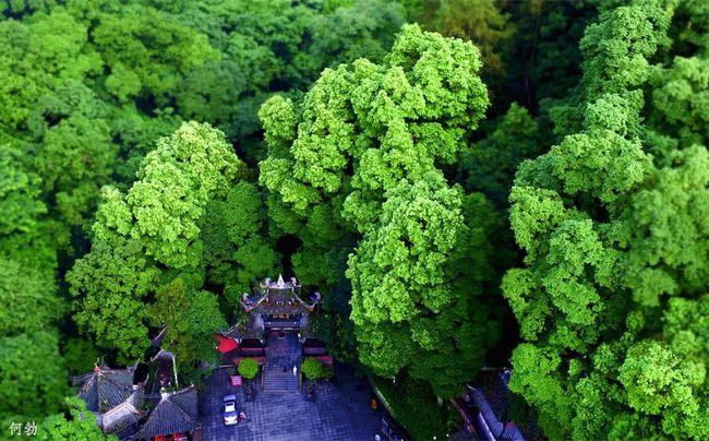 下载 (7).jpg