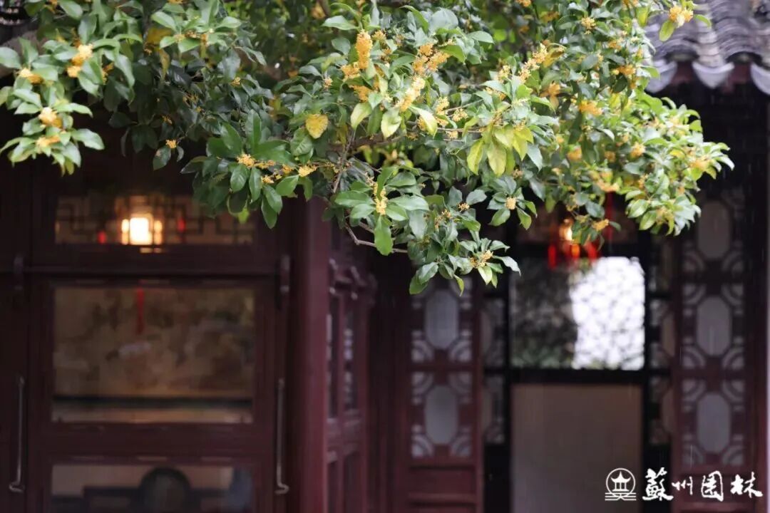 50.jpg