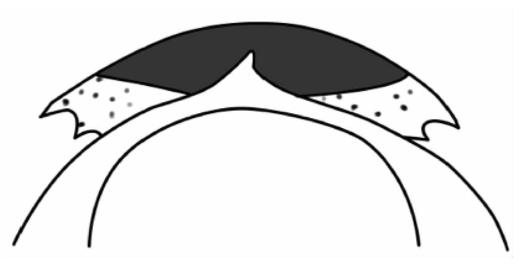 QQ截图20210702153947.png