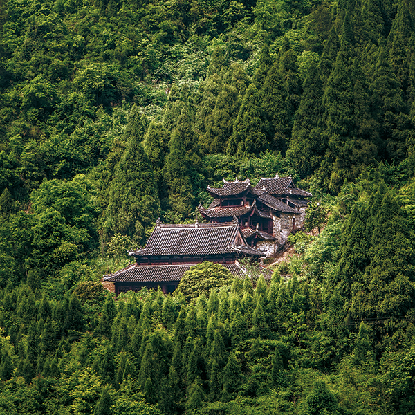 土司遗址 (2).jpg